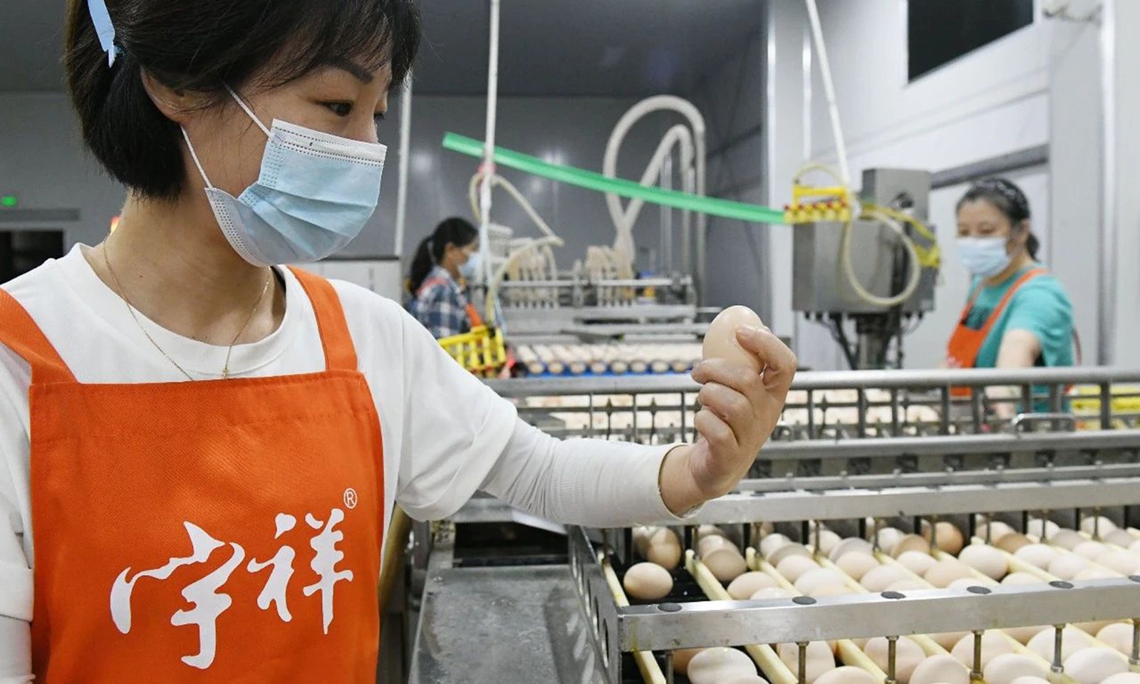 微信圖片_20250211141449