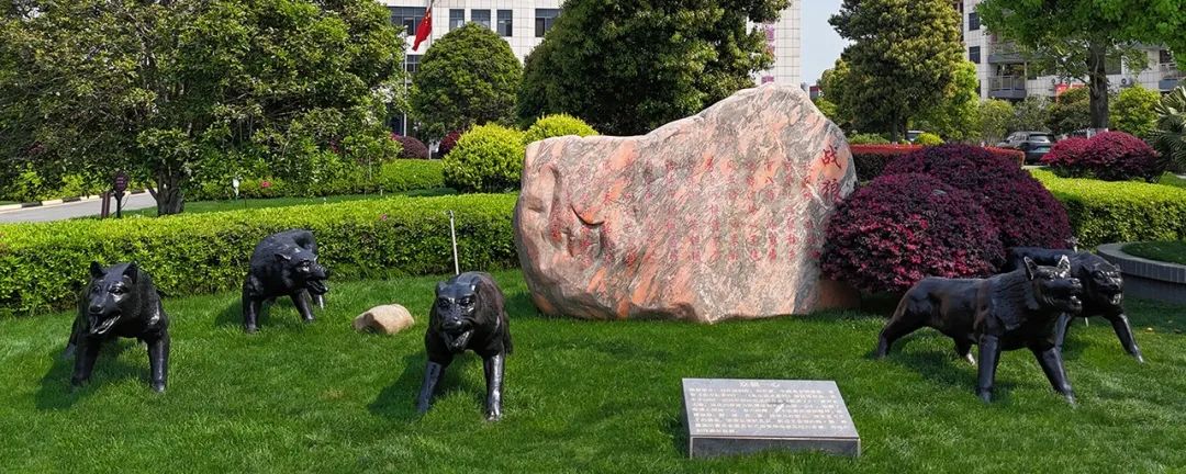 1752632136102786.jpg 640