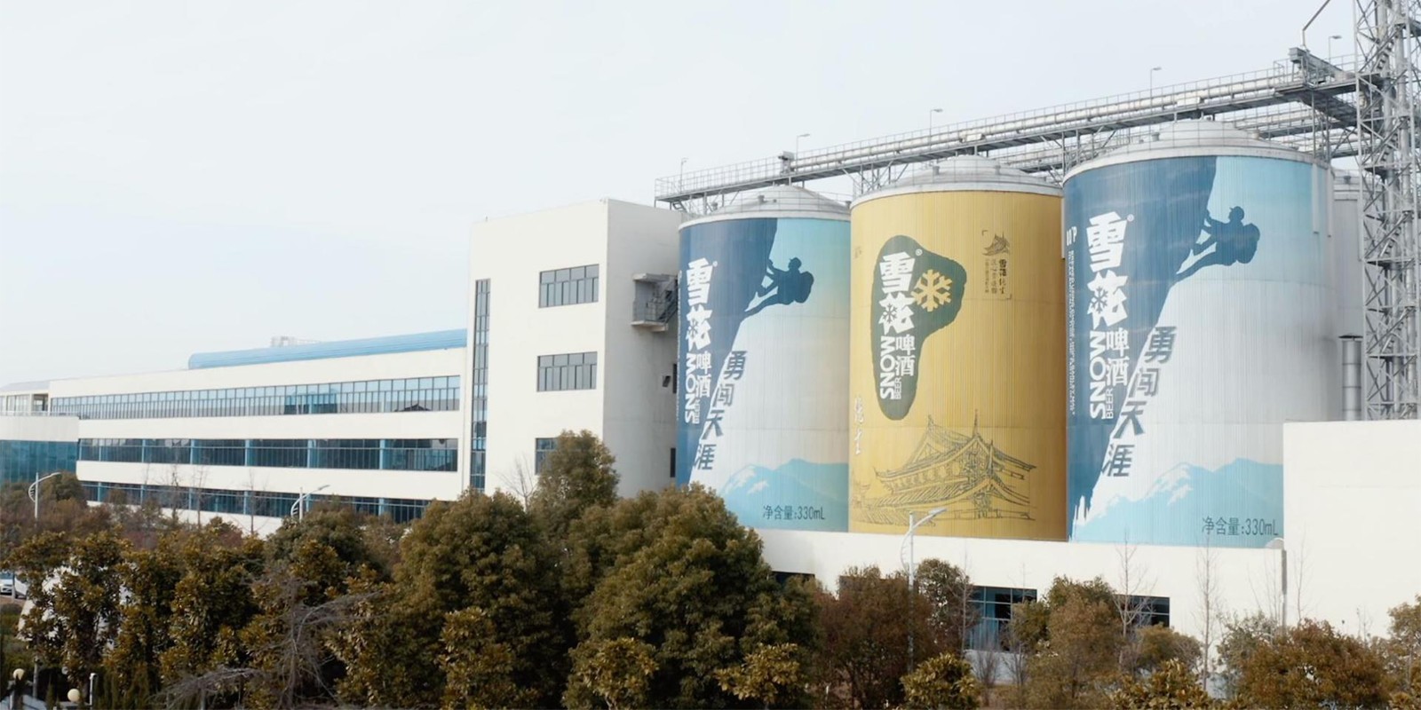 1754615374675336.jpg 04