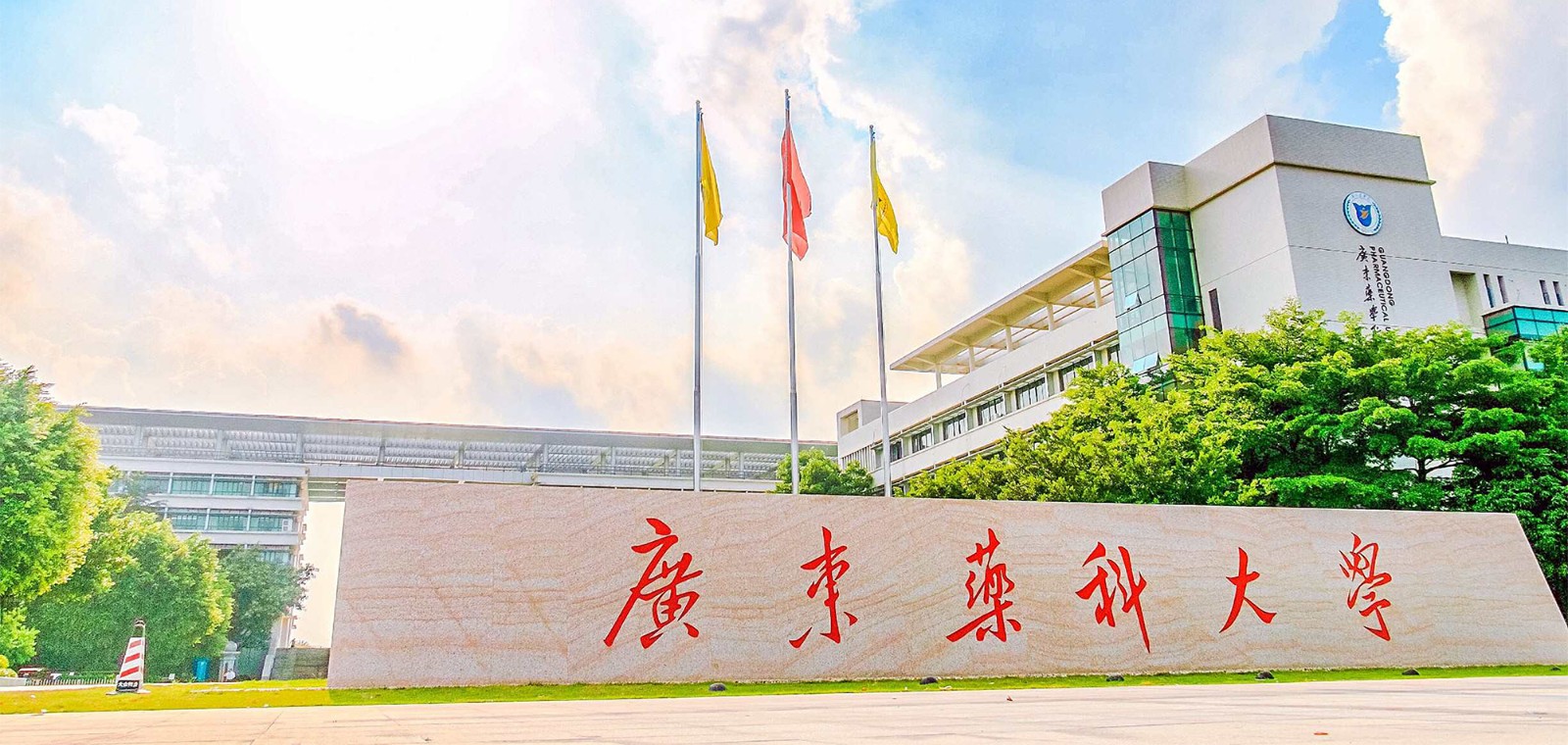 1756082484821861.jpg 04