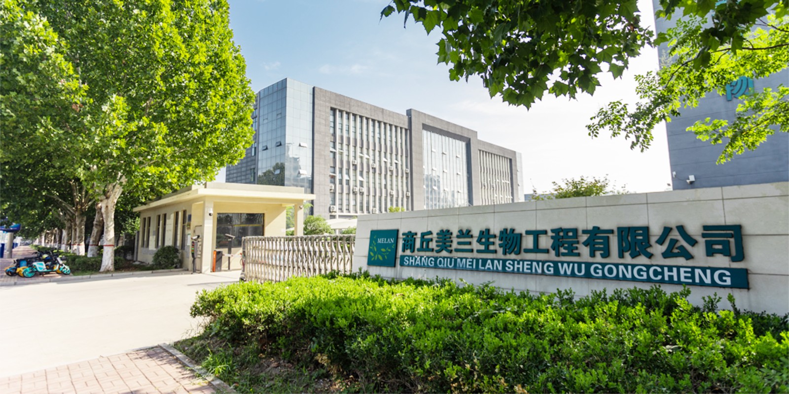 1756712784647672.jpg 1