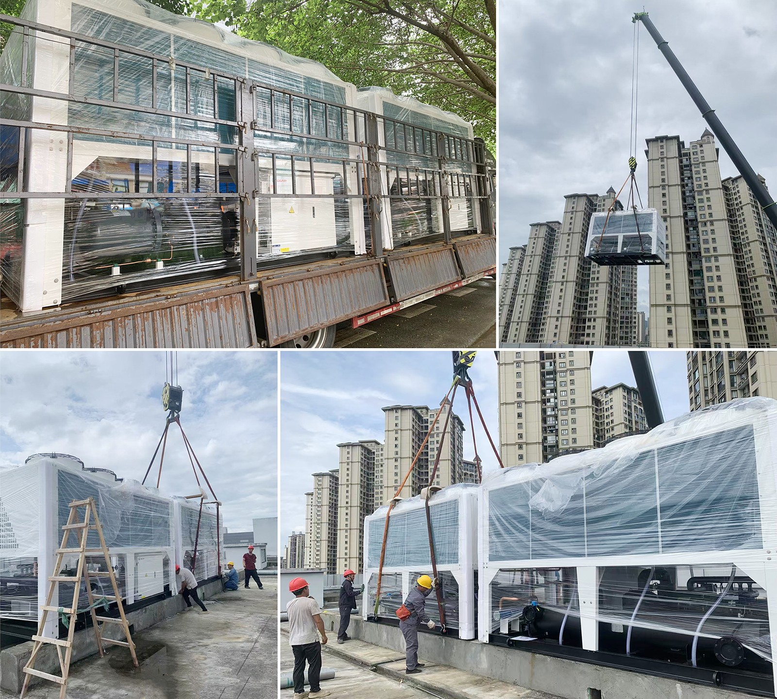 1756861945660776.jpg 6