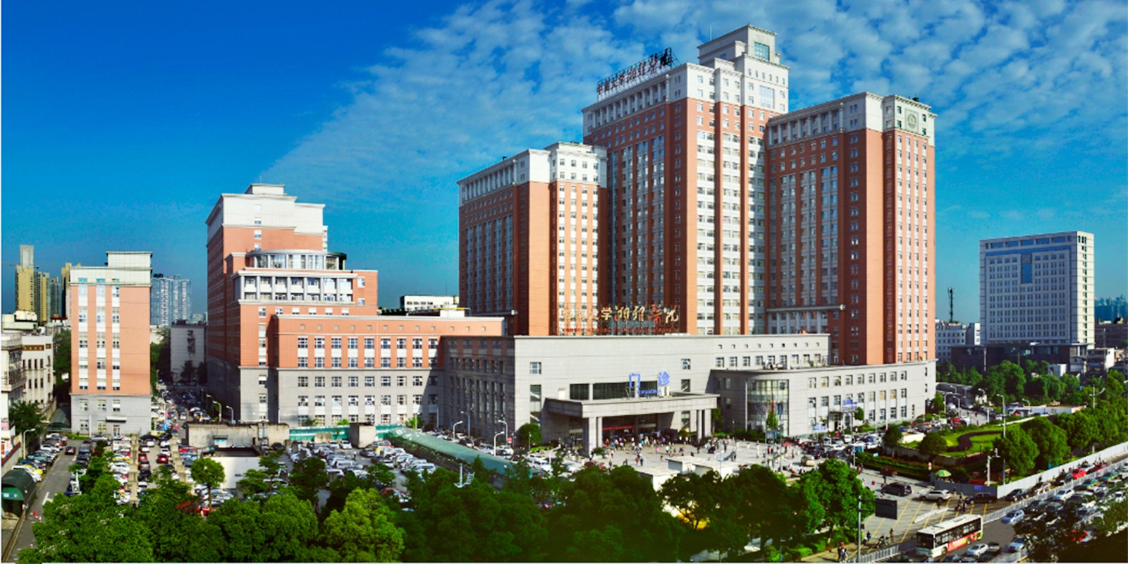 1757117488822152.jpg 5