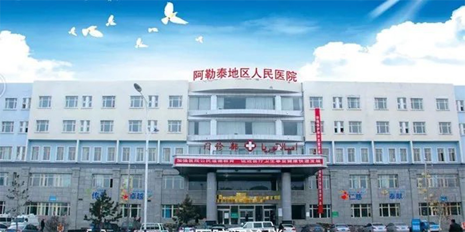 1757117543702374.jpg 8